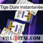 Tige Dure Instantanée 12